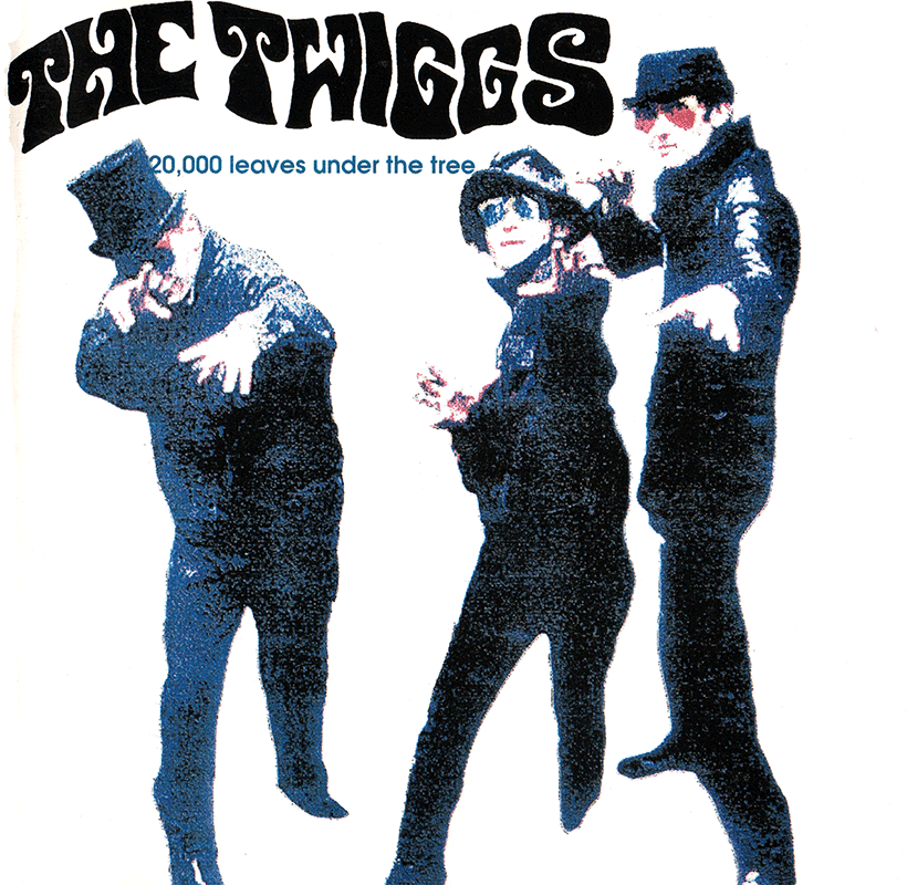 THE TWIGGS